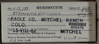 Image Associated With the Occurence
